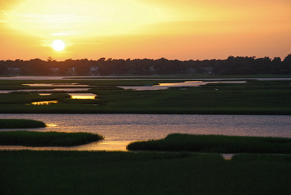 DSC_0346.jpg